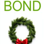 Holiday Girl Romance eBook by Stephanie Bond - Mystery Short Read-0
