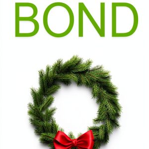 Holiday Girl Romance eBook by Stephanie Bond - Mystery Short Read-0