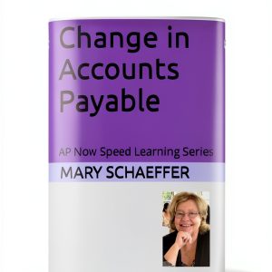 AP Now Speed Learning Accounting Standards Kindle eBook 49‑Page Guide-0