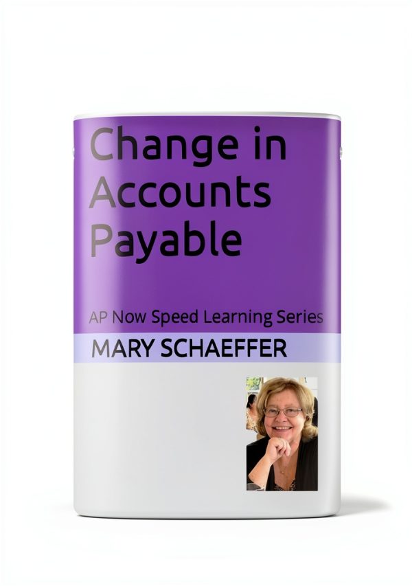 AP Now Speed Learning Accounting Standards Kindle eBook 49‑Page Guide-0